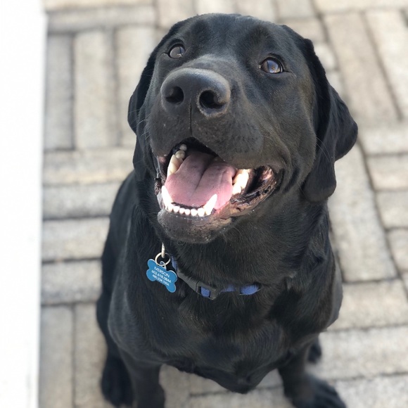 Meet your Posher, Rachael - Picture 5 of 6